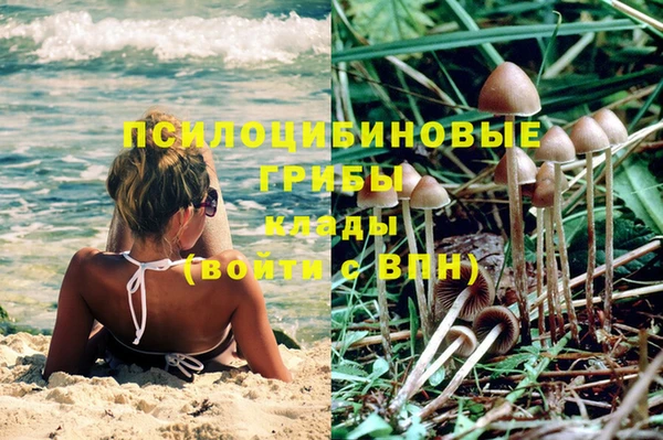 каннабис Зеленокумск